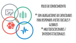 polosdeconocimiento
*sonagregacionesdecapacidades
pararesponderaretossocialesy
globales
*multidisciplinares/
interinstitucionales
 