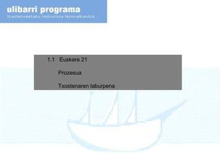 1.1  Euskara 21 Prozesua Txostenaren laburpena 