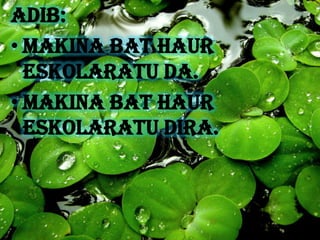 Adib:
• Makina bat haur
  eskolaratu da.
• Makina bat haur
  eskolaratu dira.
 