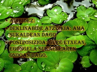 • Adibidez:
• Deklinabide atzizkia: ama
  sukaldeaN dago
• Postposizioa: gure etxean,
  egongela sukaldeAREN
  ONDOAN dago.
 