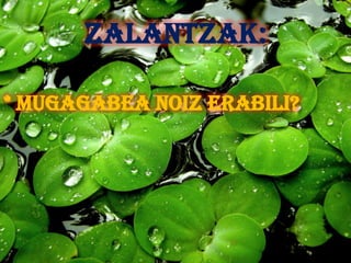 ZALANTZAK:

* MUGAGABEA NOIZ ERABILI?
 