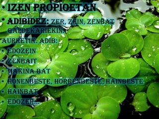 • Izen propioetan
* Adibidez: Zer, zein, zenbat
  galdekariekin.
Aurretik. Adib:
• Edozein
• Zenbait
• Makina bat
• Honenbeste, horrenbeste, hainbeste
• Hainbat
• Edozer...
 
