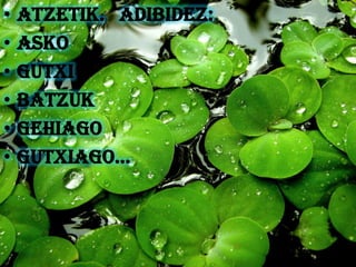 •   Atzetik. Adibidez:
•   Asko
•   Gutxi
•   Batzuk
•   Gehiago
•   Gutxiago...
 