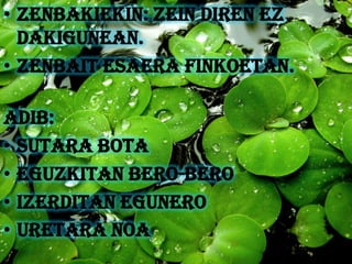 • Zenbakiekin: Zein diren ez
  dakigunean.
• Zenbait esaera finkoetan.

Adib:
• Sutara bota
• Eguzkitan bero-bero
• Izerditan egunero
• Uretara noa
 