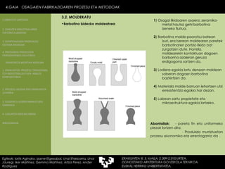 Abantailak:    - pareta fin eta uniformeko piezak lortzen dira.    - Produkzio murriztuetan prozesu ekonomiko eta errentagarria da .  1 ) Osagai likidoaren osaera: zeramika-metal hautsa gehi barbotina izeneko fluitua. 2 ) Barbotina molde paorotsu batean isuri, era berean moldearen paretek barbotinaren portzio likido bat zurgatzen dute. Horrela, moldearekin kontaktuan dagoen barborina azaleran geruza erdigogorra sortzen da. 3 ) Lodiera egokia lortu denean moldean soberan dagoen barbotina baztertzen da.  4 ) Materiala molde barruan lehortzen utzi erresistentzia egokia har dezan. 5 ) Labean sartu propietate eta mikroestruktura egokia lortzeko. Barbotina bidezko moldeatzea 4.GAIA  OSAGAIEN FABRIKAZIOAREN PROZESU ETA METODOAK Egileak: Ioritz Aginako, Izarne Elgezabal, Unai Etxebarria, Unai Jauregi, Iker Martínez, Gemma Martínez, Aitzol Perez, Ander Rodriguez 3.2. MOLDEKATU 2. GARAPEN INDUSTRIALAREN  FAKTORE KLASIKOAK 3.  KONPOSAGAIEN PRODUKZIO SISTEMA BASIKOAK 4.  PRODUKZIO PROZESUEN ERRENDIMENDU ERLATIBOA 1. ERAIKUNTZA  PROZESU TRADIZIONAL ETA INDUSTRIALIZATUEN  ANALISI KONPARATIBOA 3. ELEMENTU AURREFABRIKATUEN GARRAIOA 4. LAGUNTZA BIDEAK OBRAN ERAIKUNTZA MUNTAIA MODURA 2. PROZESU HEZEAK EDO ERAIKUNTZA LEHORRA BIBLIOGRAFIA 1.OBRA ETA LANTEGIA 