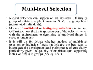 Eusocial behaviour.pptx