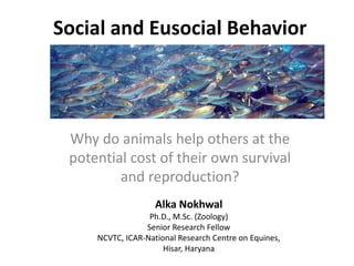 Social and Eusocial Behavior
Why do animals help others at the
potential cost of their own survival
and reproduction?
Alka Nokhwal
Ph.D., M.Sc. (Zoology)
Senior Research Fellow
NCVTC, ICAR-National Research Centre on Equines,
Hisar, Haryana
 