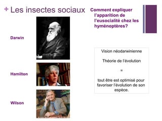 + Les insectes sociaux   Comment expliquer
                          l’apparition de
                          l’eusocialité chez les
                          hyménoptères?

 Darwin


                              Vision néodarwinienne

                               Théorie de l’évolution

                                         =
 Hamilton
                             tout être est optimisé pour
                            favoriser l’évolution de son
                                       espèce.


 Wilson
 