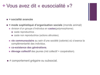 + Vous avez dit « eusocialité »?

     = socialité avancée

     = mode sophistiqué d’organisation sociale (monde animal)
         division d’un groupe d’individus en castes(polymorphisme).
           caste reproductrice .
           caste non reproductrice (actions altruistes).


         vie communautaire au sein d’une société (colonie) où s’exerce la
          complémentarité des individus.
         co-existence des générations.
         élevage collectif des jeunes (nid collectif + coopération).


     ≠ comportement grégaire ou subsocial.
 