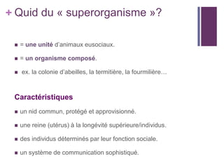 + Quid du « superorganisme »?

    = une unité d’animaux eusociaux.

    = un organisme composé.

    ex. la colonie d’abeilles, la termitière, la fourmilière…



 Caractéristiques
    un nid commun, protégé et approvisionné.

    une reine (utérus) à la longévité supérieure/individus.

    des individus déterminés par leur fonction sociale.

    un système de communication sophistiqué.
 