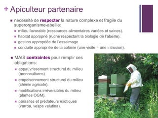 + Apiculteur partenaire
    nécessité de respecter la nature complexe et fragile du
     superorganisme-abeille:
        milieu favorable (ressources alimentaires variées et saines).
        habitat approprié (ruche respectant la biologie de l’abeille).
        gestion appropriée de l’essaimage.
        conduite appropriée de la colonie (une visite = une intrusion).

    MAIS contraintes pour remplir ces
     obligations:
        appauvrissement structurel du milieu
         (monocultures).
        empoisonnement structurel du milieu
         (chimie agricole).
        modifications irréversibles du milieu
         (plantes OGM).
        parasites et prédateurs exotiques
         (varroa, vespa velutina).
 