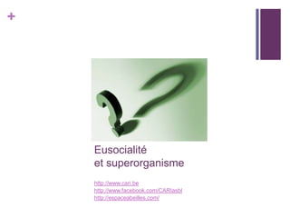 +




    Eusocialité
    et superorganisme
    http://www.cari.be
    http://www.facebook.com/CARIasbl
    http://espaceabeilles.com/
 