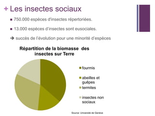 + Les insectes sociaux
    750.000 espèces d'insectes répertoriées.

    13.000 espèces d’insectes sont eusociales.

  succès de l’évolution pour une minorité d’espèces

       Répartition de la biomasse des
             insectes sur Terre

                                           fourmis

                                           abeilles et
                                           guêpes
                                           termites

                                           insectes non
                                           sociaux

                                  Source: Université de Genève
 