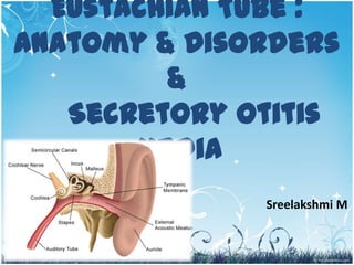 Eustachian Tube :
Anatomy & Disorders
         &
   Secretory Otitis
       Media
              Sreelakshmi M


                        1
 