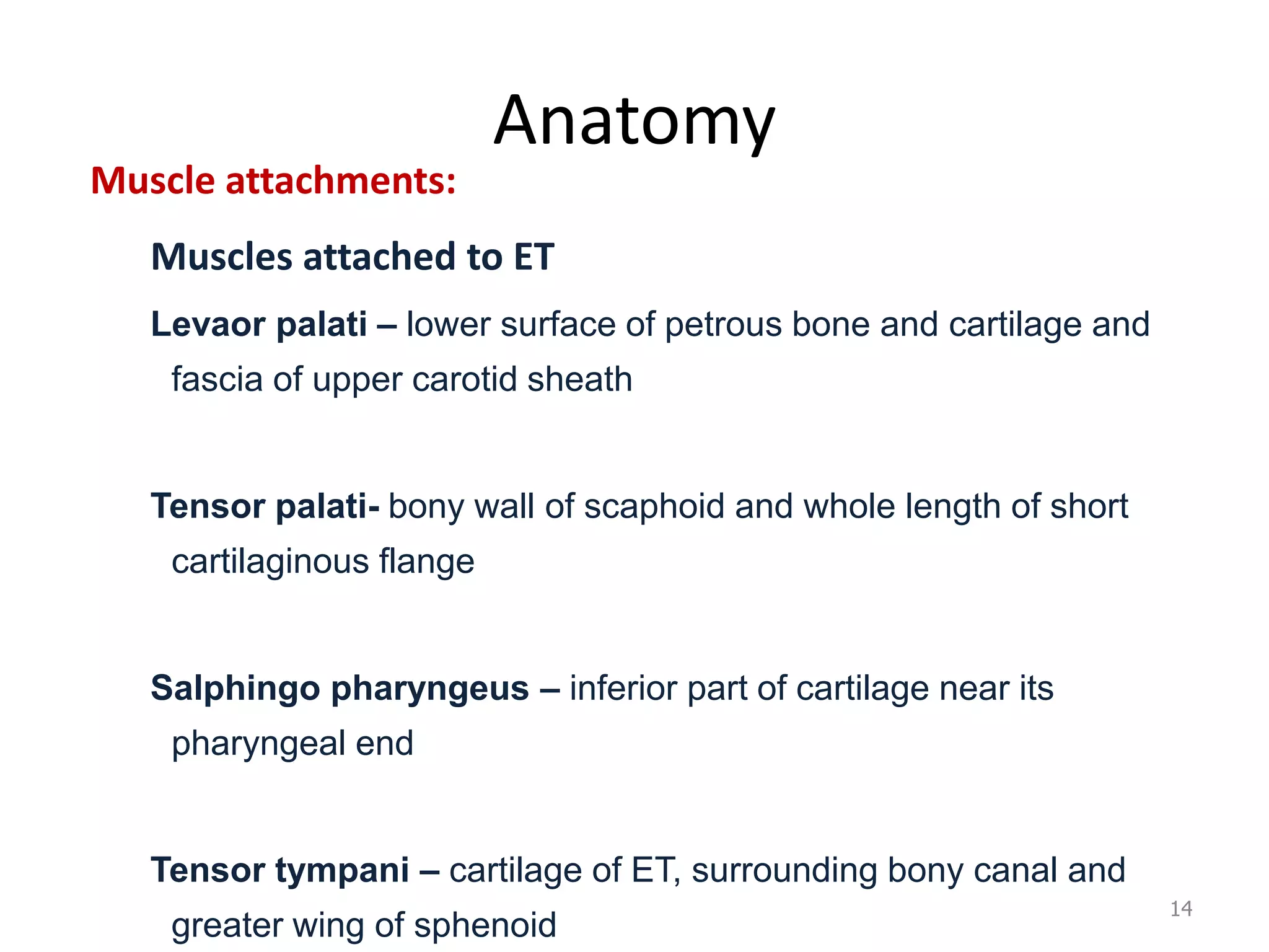 Tensor Close Eustachian tube, anatomy, test and disorders, dr.vijaya sundarm, 20.03.17