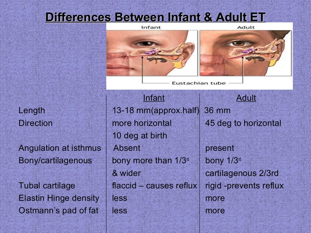 Eustachian tube final PP ANATOMY,EMBRYOLOGY,FUNCTIONS,DYSFUNCTIONS TR…