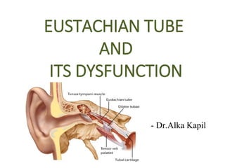 EUSTACHIAN TUBE
AND
ITS DYSFUNCTION
- Dr.Alka Kapil
 