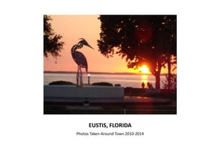 EUSTIS, FLORIDA
Photos Taken Around Town 2010-2014
 