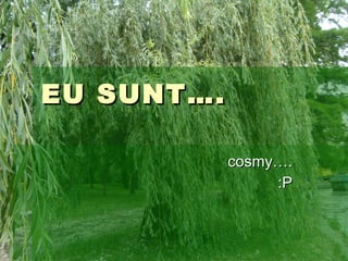EU SUNT…. cosmy…. :P 