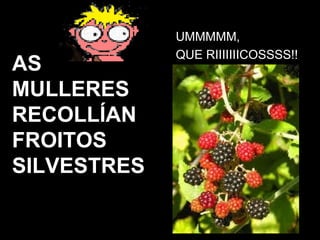 UMMMMM,  QUE RIIIIIIICOSSSS!! AS MULLERES RECOLLÍAN FROITOS SILVESTRES 