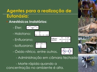 Agentes para a realização de
Eutanásia:
• Anestésicos Inalatórios:
- Éter;
- Halotano;
- Enfluorano;
- Isofluorano;
- Óxido nítrico, entre outros.
- Administração em câmara fechada
- Morte rápida quando a
concentração no ambiente é alta.
 