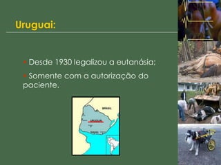 Uruguai:
• Desde 1930 legalizou a eutanásia;
• Somente com a autorização do
paciente.
 
