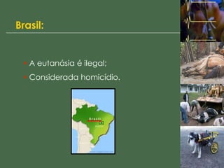 Brasil:
• A eutanásia é ilegal;
• Considerada homicídio.
 