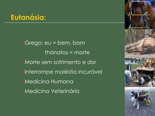 Eutanásia:
• Grego: eu = bem, bom
thánatos = morte
• Morte sem sofrimento e dor
• Interrompe moléstia incurável
• Medicina Humana
• Medicina Veterinária
 