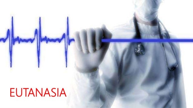 Resultado de imagen para eutanasia