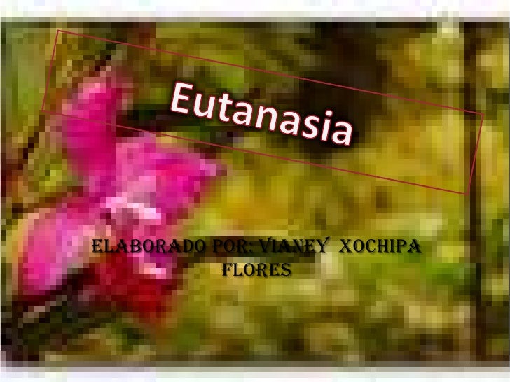 Elaborado por: vianey Xochipa           flores 