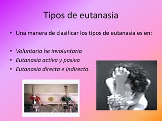 Tipos de eutanasia
• Una manera de clasificar los tipos de eutanasia es en:

• Voluntaria he involuntaria
• Eutanasia activa y pasiva
• Eutanasia directa e indirecta.
 