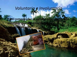Voluntaria e Involuntaria

• Para comprender la eutanasia tenemos que
  entender que debe ser solicitada
  voluntariamente.
 