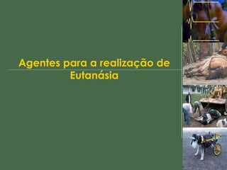 Agentes para a realização de Eutanásia 
