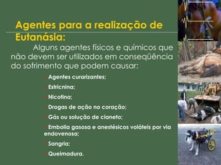 Agentes para a realização de Eutanásia: Alguns agentes físicos e químicos que não devem ser utilizados em conseqüência do sofrimento que podem causar: Agentes curarizantes; Estricnina; Nicotina; Drogas de ação no coração; Gás ou solução de cianeto; Embolia gasosa e anestésicos voláteis por via endovenosa; Sangria; Queimadura. 