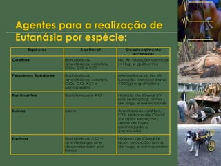 Agentes para a realização de Eutanásia por espécie: 