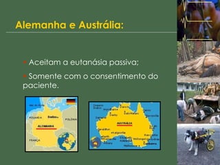 Alemanha e Austrália: Aceitam a eutanásia passiva; Somente com o consentimento do paciente. 