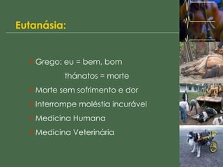 Eutanásia: Grego: eu = bem, bom   thánatos = morte Morte sem sofrimento e dor Interrompe moléstia incurável Medicina Humana Medicina Veterinária 