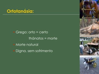 Ortotanásia: Grego: orto = certo   thánatos = morte Morte natural Digna, sem sofrimento 