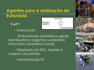 Agentes para a realização de Eutanásia: T-61 ® : - Associação: Embutramida (anestésico geral)  Membezônico (agente curarizante)  Tetracaína (anestésico local) - Depressão do SNC, hipóxia e colapso circulatório; - Administração EV 