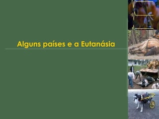 Alguns países e a Eutanásia 