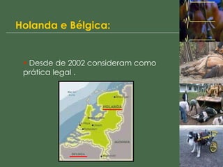 Holanda e Bélgica: Desde de 2002 consideram como prática legal . 