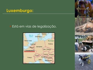 Luxemburgo: Está em vias de legalização. 