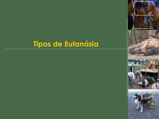 Tipos de Eutanásia 