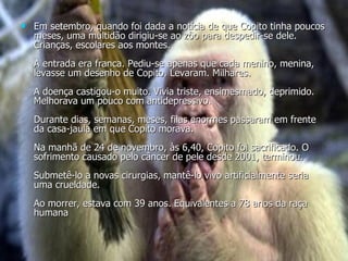 Em setembro, quando foi dada a notícia de que Copito tinha poucos meses, uma multidão dirigiu-se ao zôo para despedir-se dele. Crianças, escolares aos montes. A entrada era franca. Pediu-se apenas que cada menino, menina, levasse um desenho de Copito. Levaram. Milhares. A doença castigou-o muito. Vivia triste, ensimesmado, deprimido. Melhorava um pouco com antidepressivo.  Durante dias, semanas, meses, filas enormes passaram em frente da casa-jaula em que Copito morava. Na manhã de 24 de novembro, às 6,40, Copito foi sacrificado. O sofrimento causado pelo câncer de pele desde 2001, terminou. Submetê-lo a novas cirurgias, mantê-lo vivo artificialmente seria uma crueldade.  Ao morrer, estava com 39 anos. Equivalentes a 78 anos da raça humana  