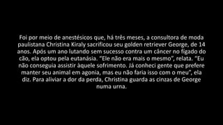 Foi por meio de anestésicos que, há três meses, a consultora de moda
paulistana Christina Kiraly sacrificou seu golden retriever George, de 14
anos. Após um ano lutando sem sucesso contra um câncer no fígado do
cão, ela optou pela eutanásia. “Ele não era mais o mesmo”, relata. “Eu
não conseguia assistir àquele sofrimento. Já conheci gente que prefere
manter seu animal em agonia, mas eu não faria isso com o meu”, ela
diz. Para aliviar a dor da perda, Christina guarda as cinzas de George
numa urna.
 