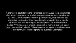 A professora paulista Luciana Fernandez gastou 7.000 reais nos últimos
dois meses para tratar de um linfoma que acometeu seu gato Vítor, de
10 anos. O animal foi tratado com quimioterapia, mas não teve boa
resposta à medicação. Vítor é considerado um paciente em estado
terminal, tem dificuldade para andar e precisa de medicamentos
diários. “Prefiro acordar um dia e encontrá-lo morto a levá-lo a algum
lugar para matá-lo”, ela diz. “Mas não posso ser egoísta, se ele começar
a sofrer muito, terei de optar pela eutanásia”, completa.
 