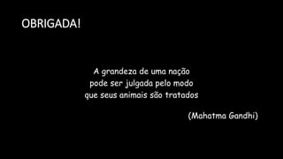 OBRIGADA!
A grandeza de uma nação
pode ser julgada pelo modo
que seus animais são tratados
(Mahatma Gandhi)
 