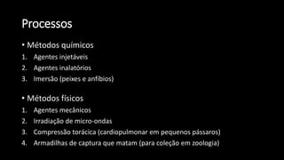 Processos
• Métodos químicos
1. Agentes injetáveis
2. Agentes inalatórios
3. Imersão (peixes e anfíbios)
• Métodos físicos
1. Agentes mecânicos
2. Irradiação de micro-ondas
3. Compressão torácica (cardiopulmonar em pequenos pássaros)
4. Armadilhas de captura que matam (para coleção em zoologia)
 