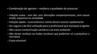 • Combinação de agentes – melhora a qualidade do processo:
 Indução suave - sem dor, sem alterações comportamentais, sem causar
medo, espasmos ou ansiedade
 Indução rápida - inconsciência e morte devem ocorrer rapidamente
 Ser seguro e de fácil utilização para o profissional que manipula o agente
 Não causar contaminação sanitária e ao meio ambiente
 Não deixar resíduos ou lesões teciduais que poderiam vir a prejudicar a
necropsia
 Custo acessível
 