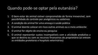 Quando pode-se optar pela eutanásia?
1. O bem-estar do animal estiver comprometido de forma irreversível, sem
possibilidade de controle por analgésicos ou sedativos
2. A condição do animal for uma ameaça à saúde pública
3. O animal doente colocar em risco outros animais ou o meio ambiente
4. O animal for objeto de ensino ou pesquisa
5. O animal representar custos incompatíveis com a atividade produtiva a
que se destina ou com os recursos financeiros do proprietário (aí entram
as entidades protetoras e hospitais veterinários)
 